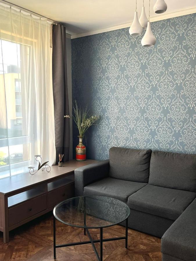 Exclusive Apartment In Vilnius Near Ozas And Technopolis Dış mekan fotoğraf